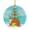 NEW Maine Coon Cat Christmas Ceramic Ornament Christmas Tree Hanging Decorations for Home Christmas Holiday, Party, Gift, 3 in, Multicolor