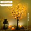 1pc 2FT LED Spooky Tree Lights, Orange, Lighted Black Halloween Tree For Tabletop