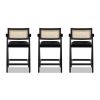 Milan 25.5" Modern Resin Webbing Back Bar Stool with Arms, Set of 3, Ebony Black Boucle