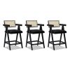 Milan 25.5" Modern Resin Webbing Back Bar Stool with Arms, Set of 3, Ebony Black Boucle