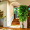 7ft Artificial Ficus Silk Tree (82in) with Plastic Nursery Pot Faux Tree, Fake Plant for Office Home Decor (Indoor/Outdoor)