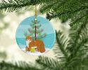 NEW Maine Coon Cat Christmas Ceramic Ornament Christmas Tree Hanging Decorations for Home Christmas Holiday, Party, Gift, 3 in, Multicolor