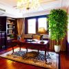 7ft Artificial Ficus Silk Tree (82in) with Plastic Nursery Pot Faux Tree, Fake Plant for Office Home Decor (Indoor/Outdoor)