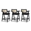 Milan 25.5" Modern Resin Webbing Back Bar Stool with Arms, Set of 3, Ebony Black Boucle