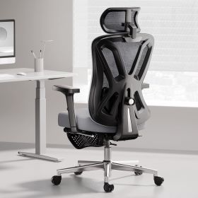 Hbada Ergonomic Office Chair, Desk Chair with Adjustable Lumbar Support and Height, Comfortable Mesh Computer Chair with Footres (Color: Grey)